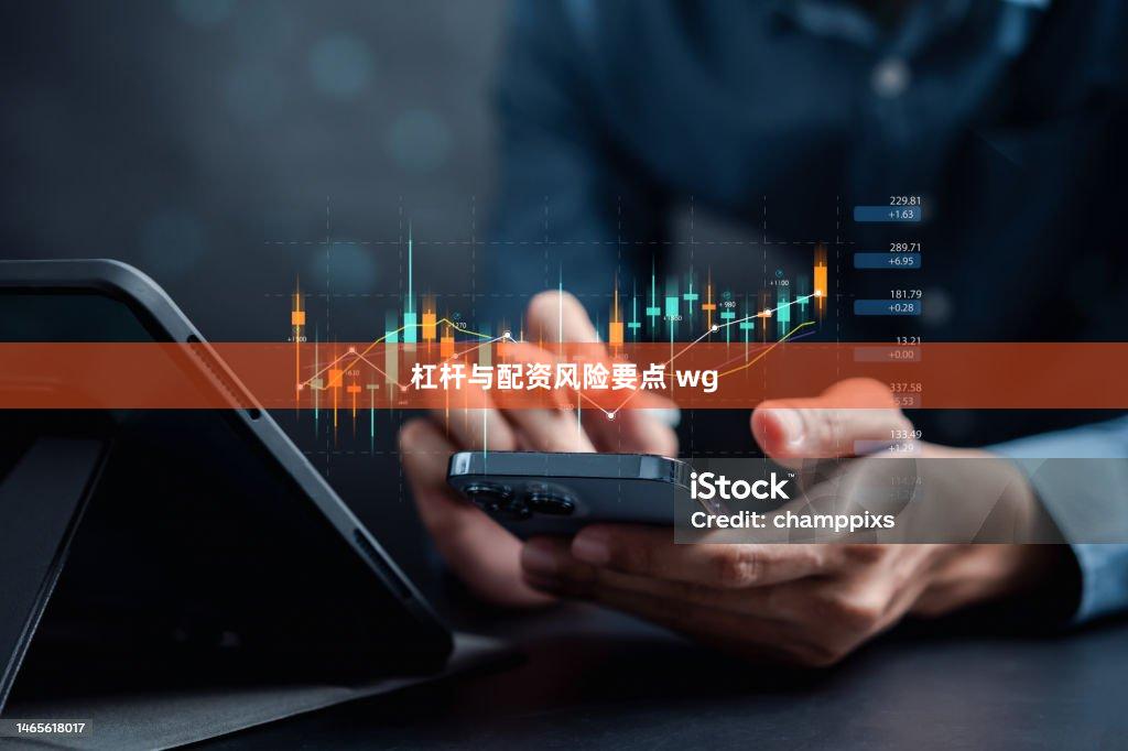 杠杆与配资风险要点 wg